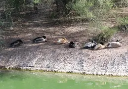 Arizona Trip Around The Lake Trail 20211119 009