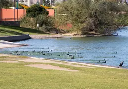 Arizona Trip Around The Lake Trail 20211119 042