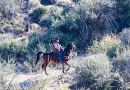 Blue Wash Canyon 20220103 06