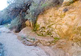 Blue Wash Canyon 20220103 11