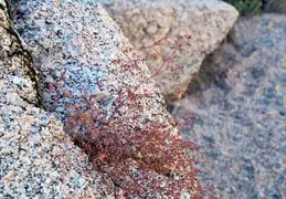 Blue Wash Canyon 20220103 21