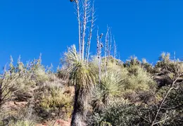 Blue Wash Canyon 20220103 25