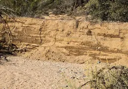 Blue Wash Canyon 20220103 41