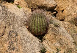 Blue Wash Canyon 20220103 48