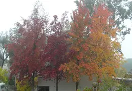 Canal Trail 2004 10