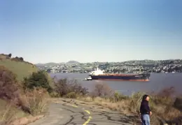 Carquinez Shoreline 1997 08