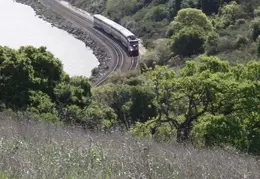 Carquinez Shoreline 2006 019
