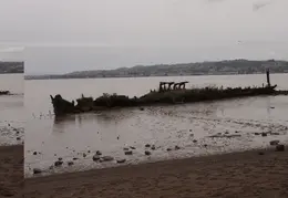 Carquinez Shoreline 2006 050