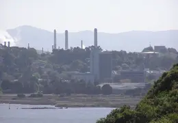 Carquinez Shoreline Mar 2007 005