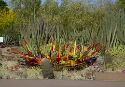 Desert Botanical Garden 20220412 009