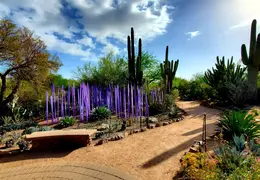 Desert Botanical Garden 20220412 016