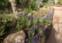 Desert Botanical Garden 20220412 029