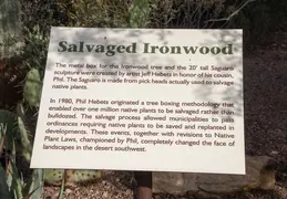 Desert Botanical Garden 20220412 043