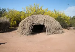 Desert Botanical Garden 20220412