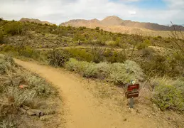 Dixie Mine Trail 20220320 015