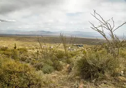 Dixie Mine Trail 20220320 017