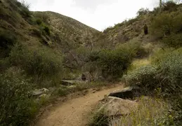Dixie Mine Trail 20220320 023