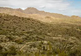 Dixie Mine Trail 20220320 031