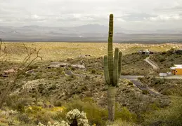 Dixie Mine Trail 20220320 032