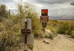 Dixie Mine Trail 20220320 036