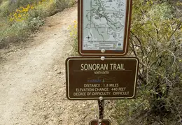 Dixie Mine Trail 20220320 038