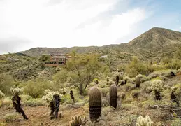 Dixie Mine Trail 20220320 045