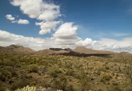 Dixie Mine Trail 20220320 050