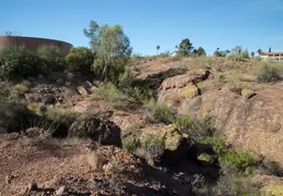 Fountain Hills Desert Botanical Garden Hike 20230610 13