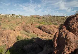 Fountain Hills Desert Botanical Garden Hike 20230610 14