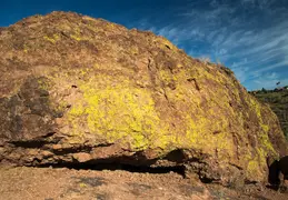 Fountain Hills Desert Botanical Garden Hike 20230610 15