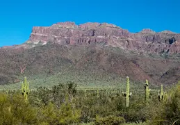 Hieroglyphics Trail Superstition Mtns 20220105 004