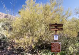 Hieroglyphics Trail Superstition Mtns 20220105 009