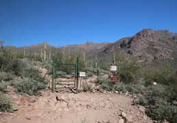 Hieroglyphics Trail Superstition Mtns 20220105 020