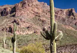 Hieroglyphics Trail Superstition Mtns 20220105 022
