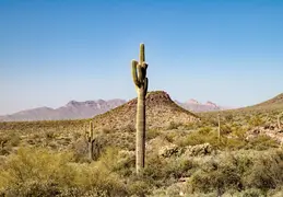Hieroglyphics Trail Superstition Mtns 20220105 025