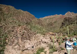 Hieroglyphics Trail Superstition Mtns 20220105 046