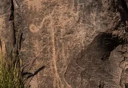 Hieroglyphics Trail Superstition Mtns 20220105 049