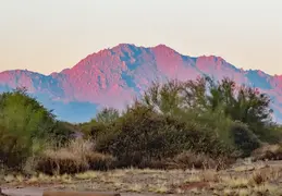 McDowell Mtn Park Scenic Trail 20231224 03