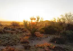McDowell Mtn Park Scenic Trail 20231224 10