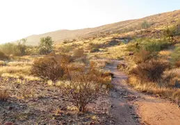 McDowell Mtn Park Scenic Trail 20231224 21