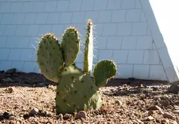 Papago Park 20220126 049