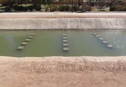 Paseo Trail to Chandler Airport 20220308 44