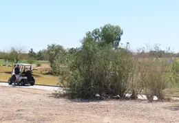 Paseo Trail to Chandler Airport 20220308 48