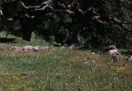 Rockville Hills Hike 1995 13