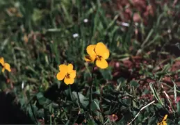 Rockville Hills Hike 1995 24