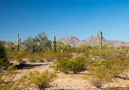 San Tan Mountain Regional Park 08