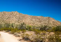 San Tan Mountain Regional Park 11
