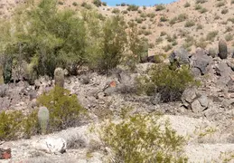 San Tan Mountain Regional Park 31