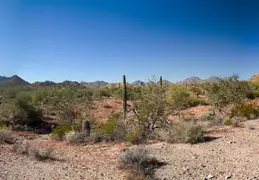 San Tan Mountain Regional Park 35