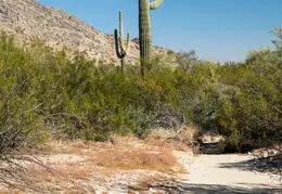 San Tan Mountain Regional Park 48